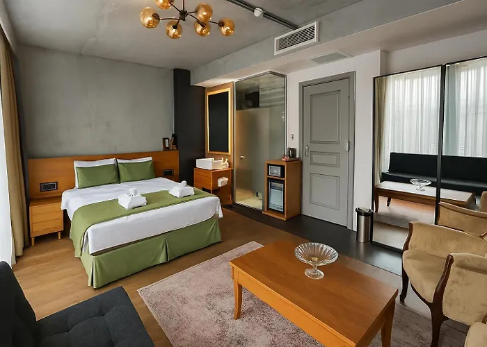 Aleksandr Pera 3* Istanbul