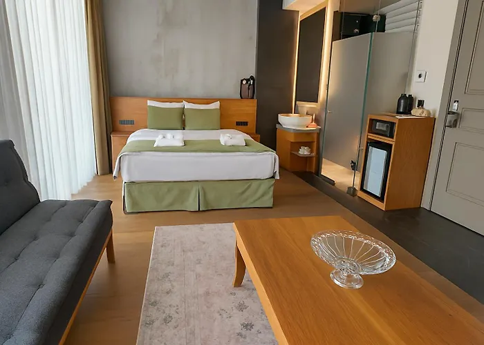 Aleksandr Pera 伊斯坦布尔